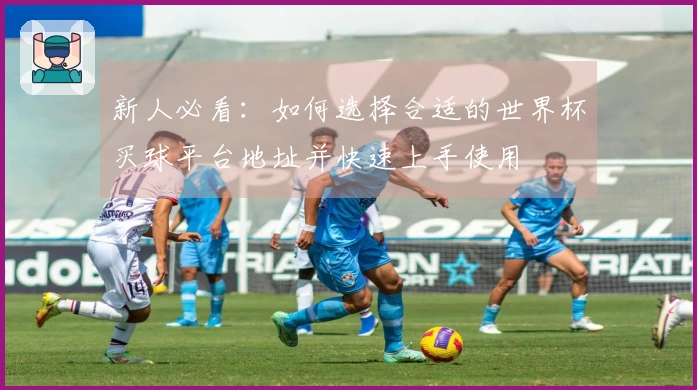 新人必看：如何选择合适的世界杯买球平台地址并快速上手使用