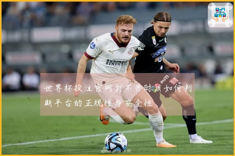 世界杯投注官网打不开时该如何判断平台的正规性与安全性