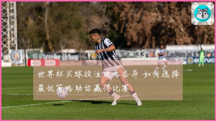 世界杯买球投注攻略各异 如何选择最优策略助你赢得比赛