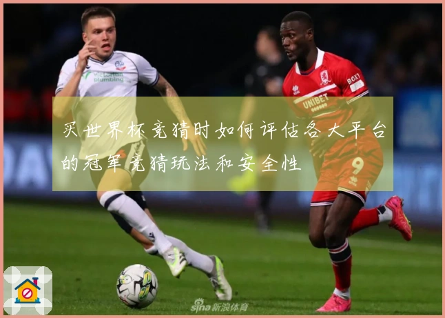 买世界杯竞猜时如何评估各大平台的冠军竞猜玩法和安全性