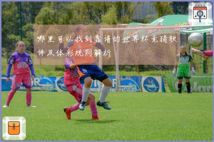 哪里可以找到靠谱的世界杯竞猜软件及体彩规则解析