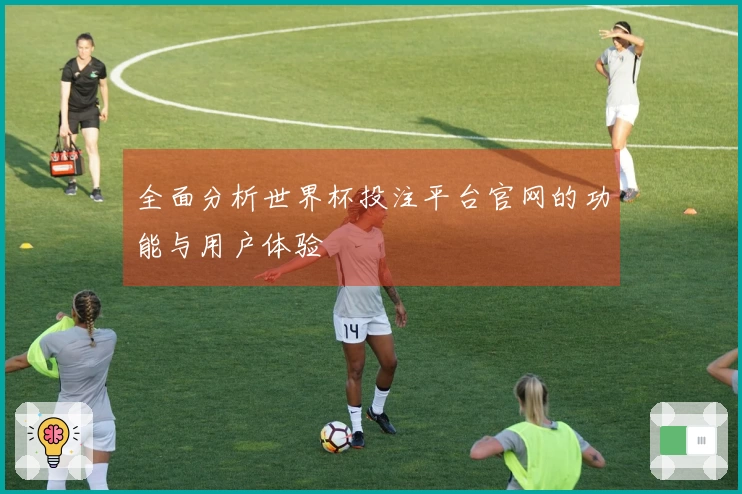 全面分析世界杯投注平台官网的功能与用户体验