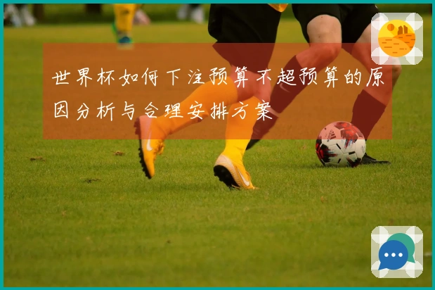 世界杯如何下注预算不超预算的原因分析与合理安排方案