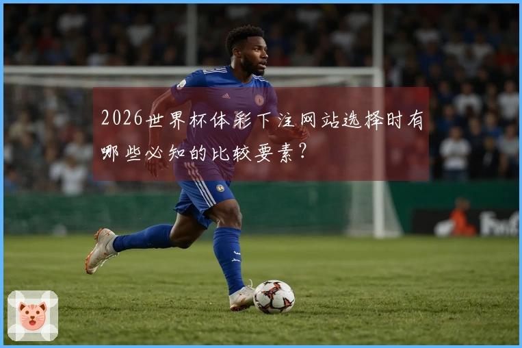 2026世界杯体彩下注网站选择时有哪些必知的比较要素？