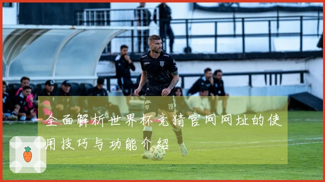 全面解析世界杯竞猜官网网址的使用技巧与功能介绍
