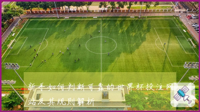 新手如何判断可靠的世界杯投注网站及其规则解析