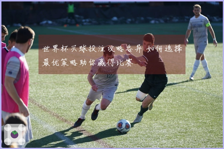 世界杯买球投注攻略各异 如何选择最优策略助你赢得比赛