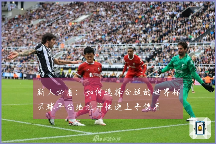 新人必看:如何选择合适的世界杯买球平台地址并快速上手使用