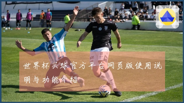 世界杯买球官方平台网页版使用说明与功能介绍