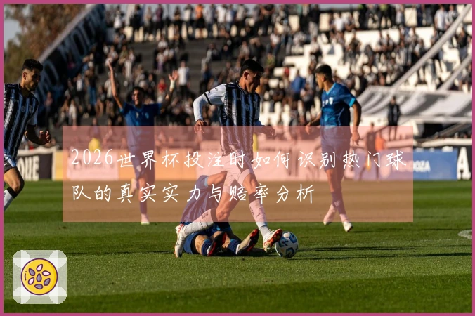 2026世界杯投注时如何识别热门球队的真实实力与赔率分析