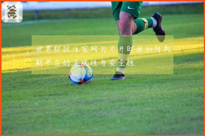 世界杯投注官网打不开时该如何判断平台的正规性与安全性