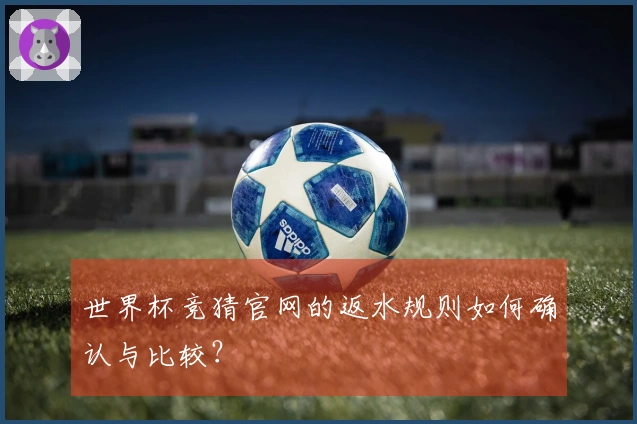世界杯竞猜官网的返水规则如何确认与比较？