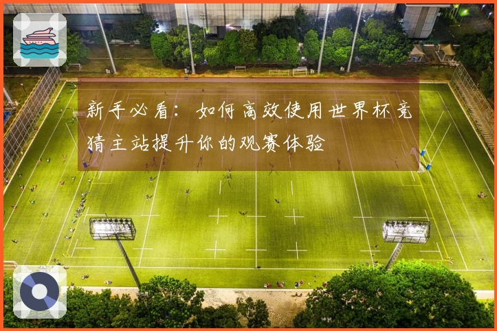 新手必看：如何高效使用世界杯竞猜主站提升你的观赛体验
