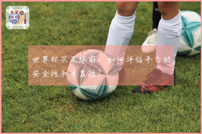 世界杯买足球前，如何评估平台的安全性和可靠性？