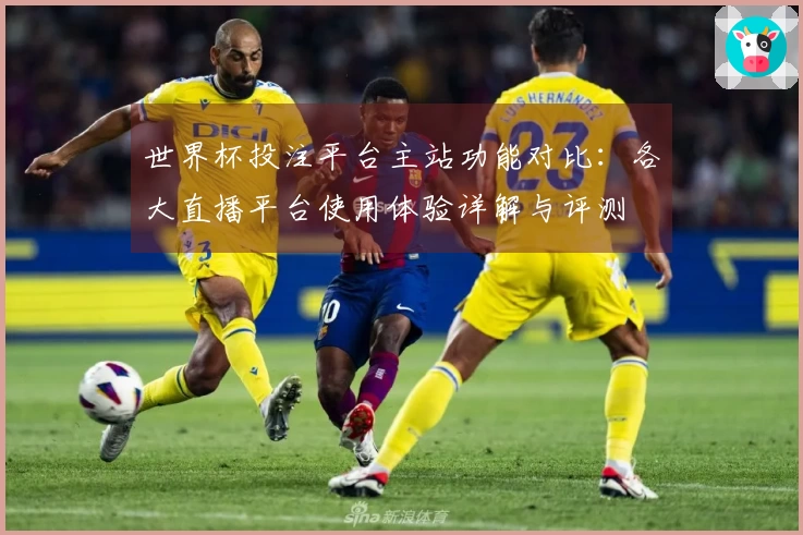 世界杯投注平台主站功能对比：各大直播平台使用体验详解与评测