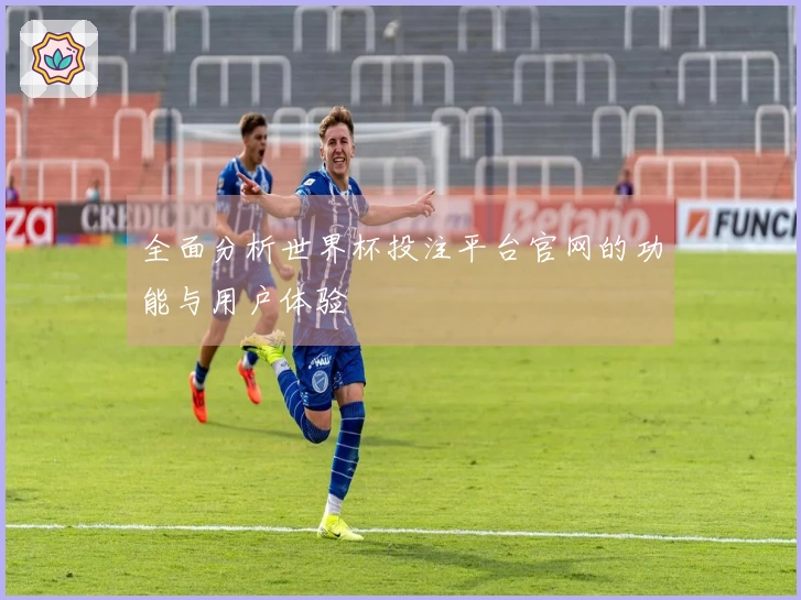 全面分析世界杯投注平台官网的功能与用户体验