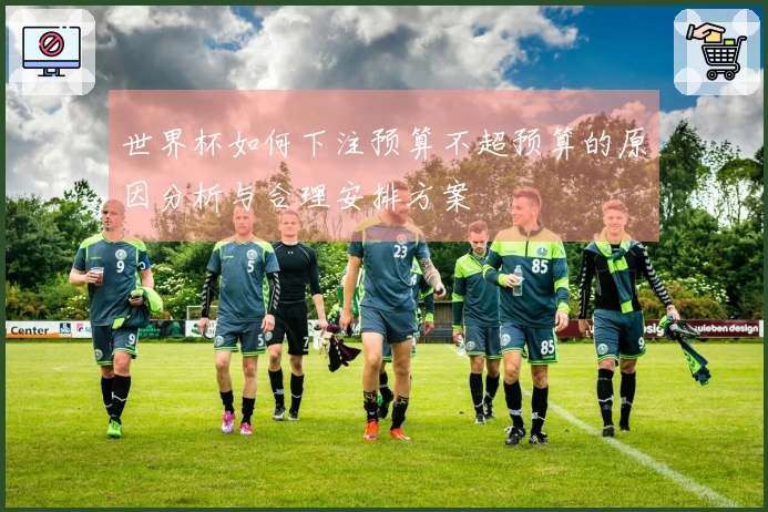 世界杯如何下注预算不超预算的原因分析与合理安排方案