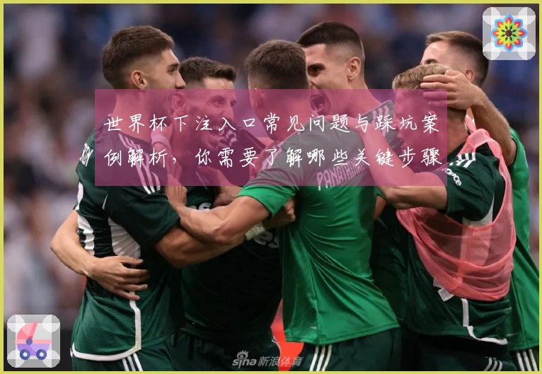 世界杯下注入口常见问题与踩坑案例解析，你需要了解哪些关键步骤？