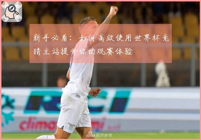 新手必看：如何高效使用世界杯竞猜主站提升你的观赛体验