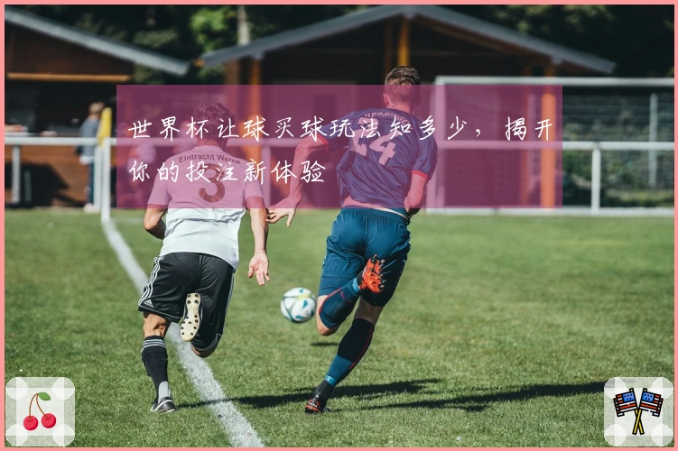 世界杯让球买球玩法知多少，揭开你的投注新体验