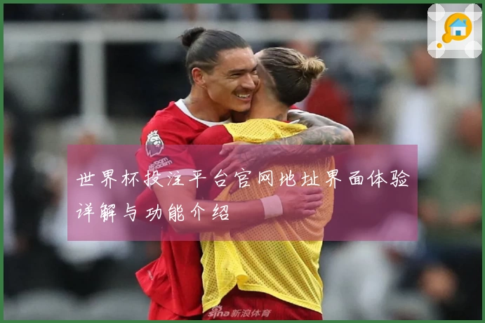 世界杯投注平台官网地址界面体验详解与功能介绍